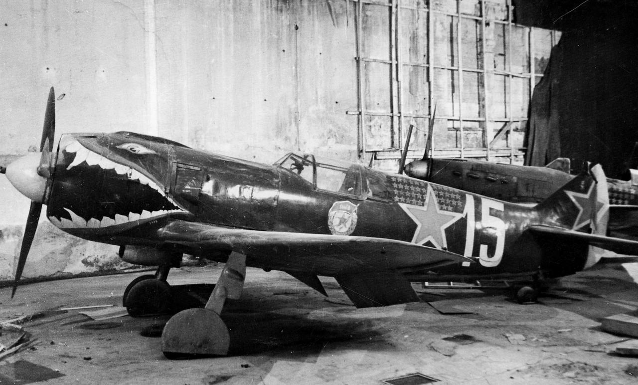 毛子的个性化涂装——在列宁格勒保卫战第一博物馆内，展出的苏联英雄Г.Д.科斯