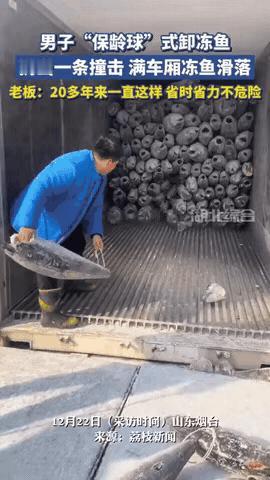 “太有头脑了！”山东烟台，男子为了快速卸冻鱼，竟然将一块冻鱼，朝车厢里的冻鱼扔过