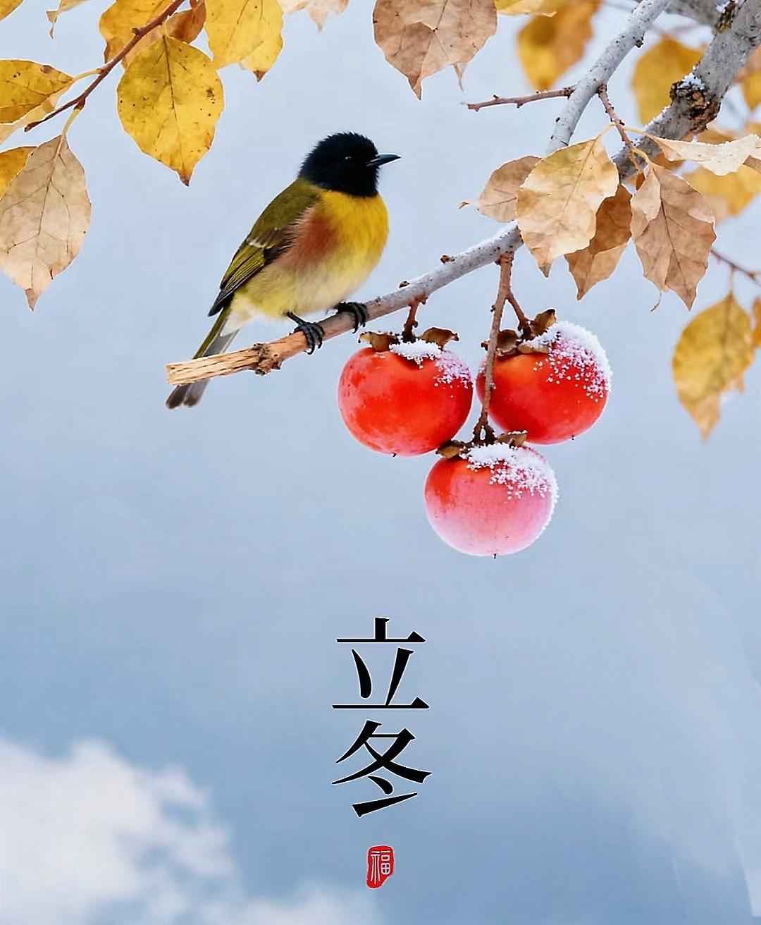 好消息！好消息！明天就立冬了，而且时间是在下午交接，老话说“上午立冬，三