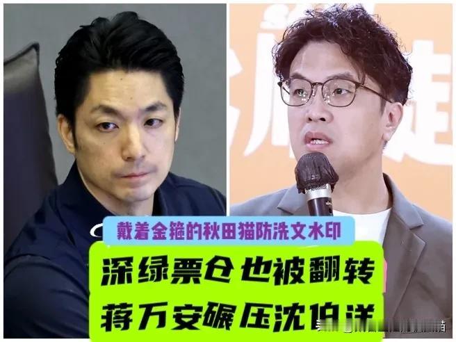 蒋万安让深绿票仓也翻转？台北万华街头随机民调，蒋万安竟然也力压沈伯洋，台北深绿
