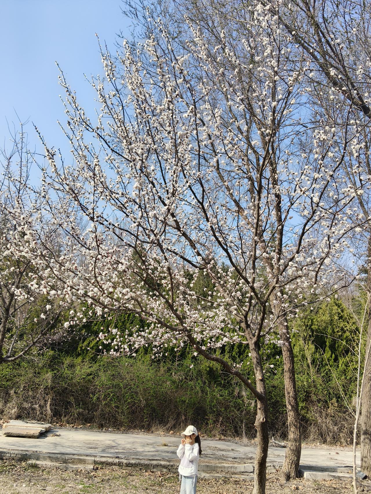 食鱼不反，驽马不乘齐景公在巡视纪国故地时，当地百姓献上了一只金壶，金壶是纪国
