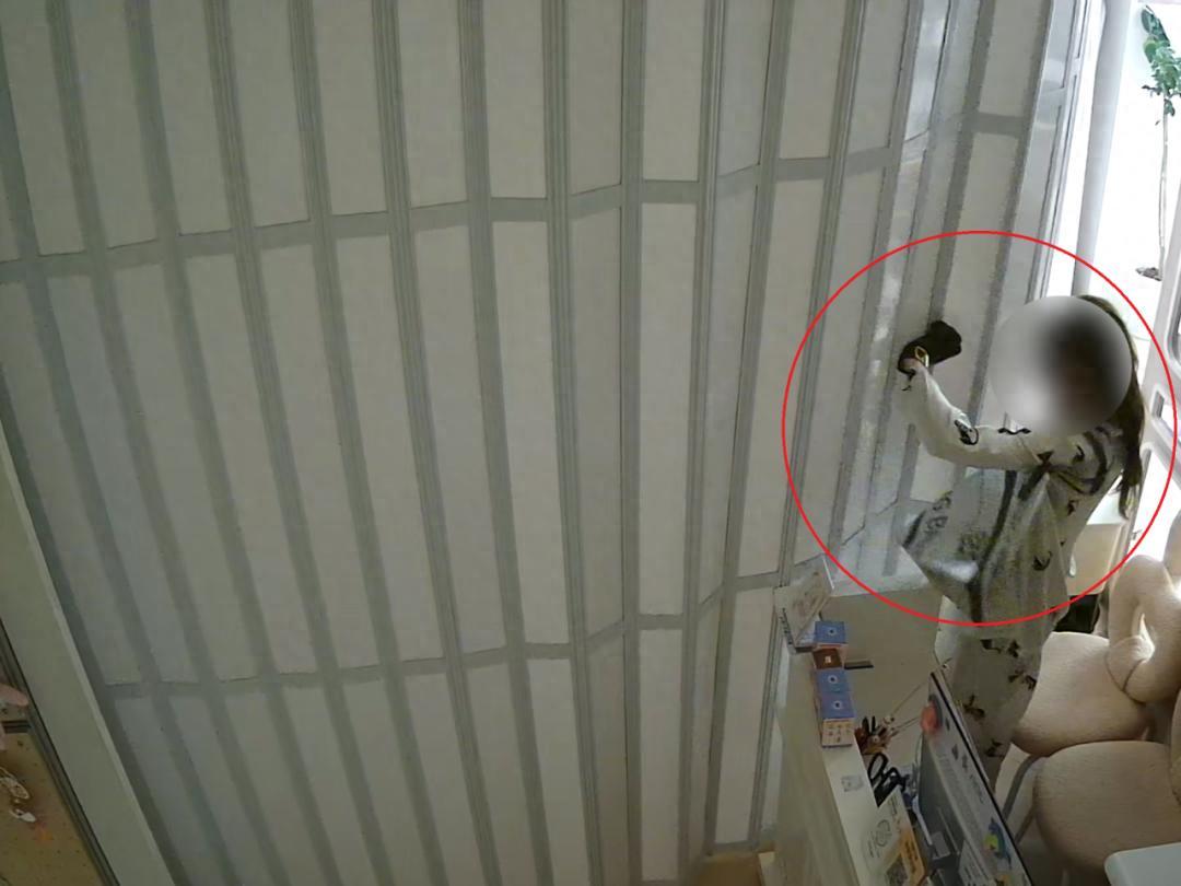 太离谱了！上海闵行，一家宠物店价值12万元的两只棉花面纱犬被人偷走，监控显示作案