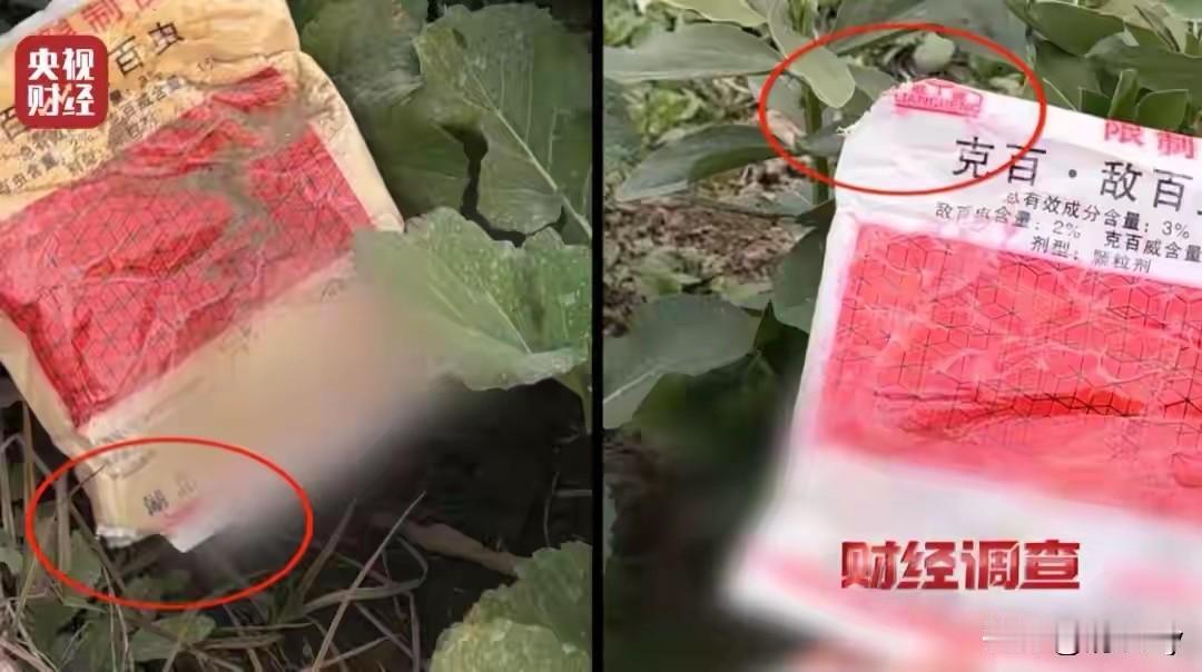 1月18日报道：有群众举报在湖北省天门山岳口镇有菜农在蔬菜上使用克百威，也就是敌