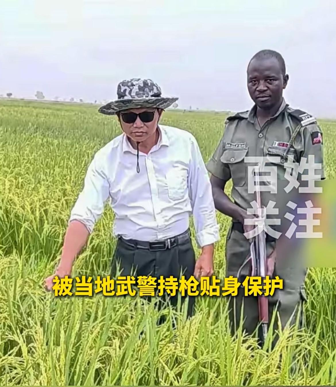 贵州大叔因太会种地，被当地武警贴身保护，由于产量暴涨粮食价格下降，冲击了商人的