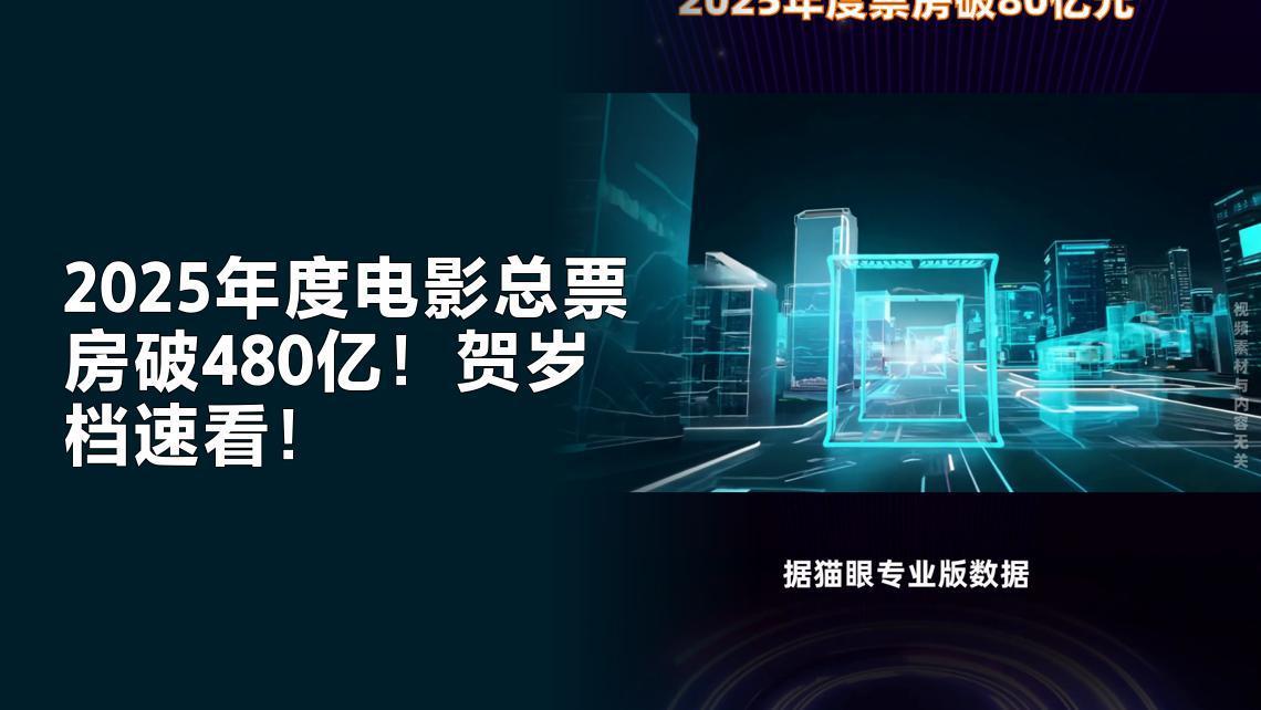 据网络平台数据，2025年度电影总票房（含预售）突破480亿。贺岁档11月28日