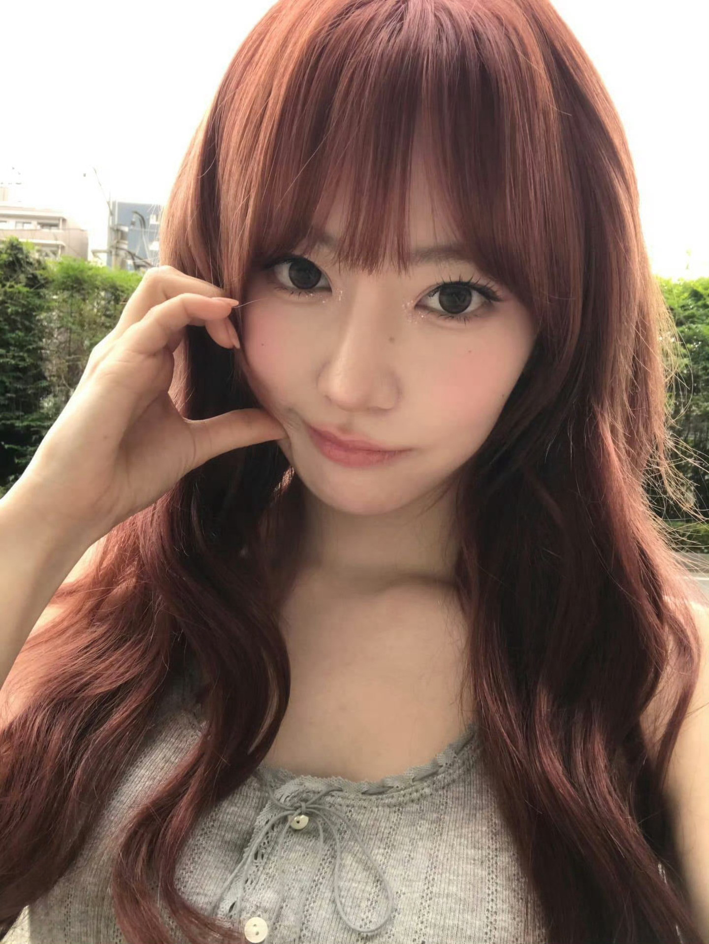 投稿：宫脇咲良樱花色彩缤纷的盛开​​​