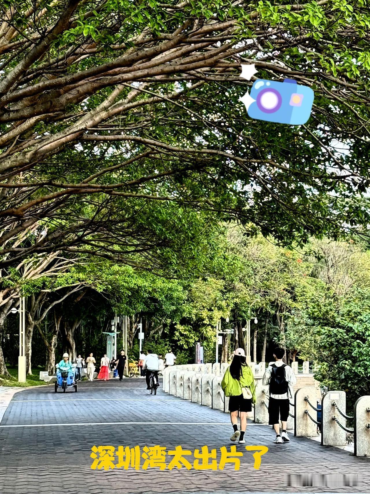 深圳湾公园真是拍照打卡的宝藏地！它海岸线约13公里，有14个主题公园，山、海、城
