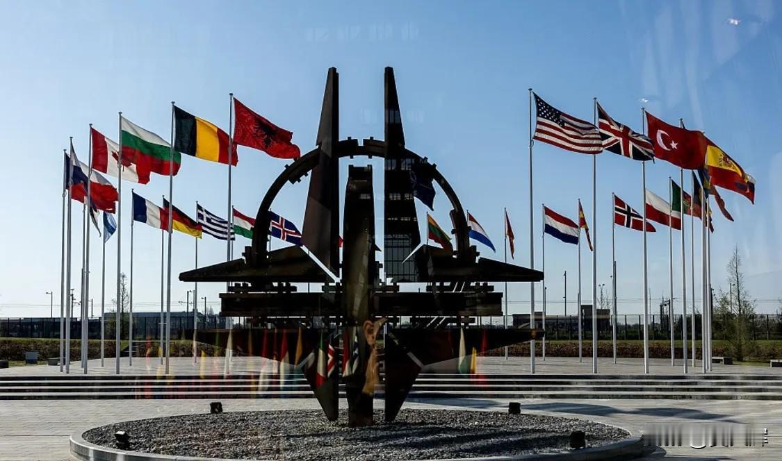 坚持“重启”：美国欲限制乌克兰及多个伙伴国参加安卡拉北约峰会Politico