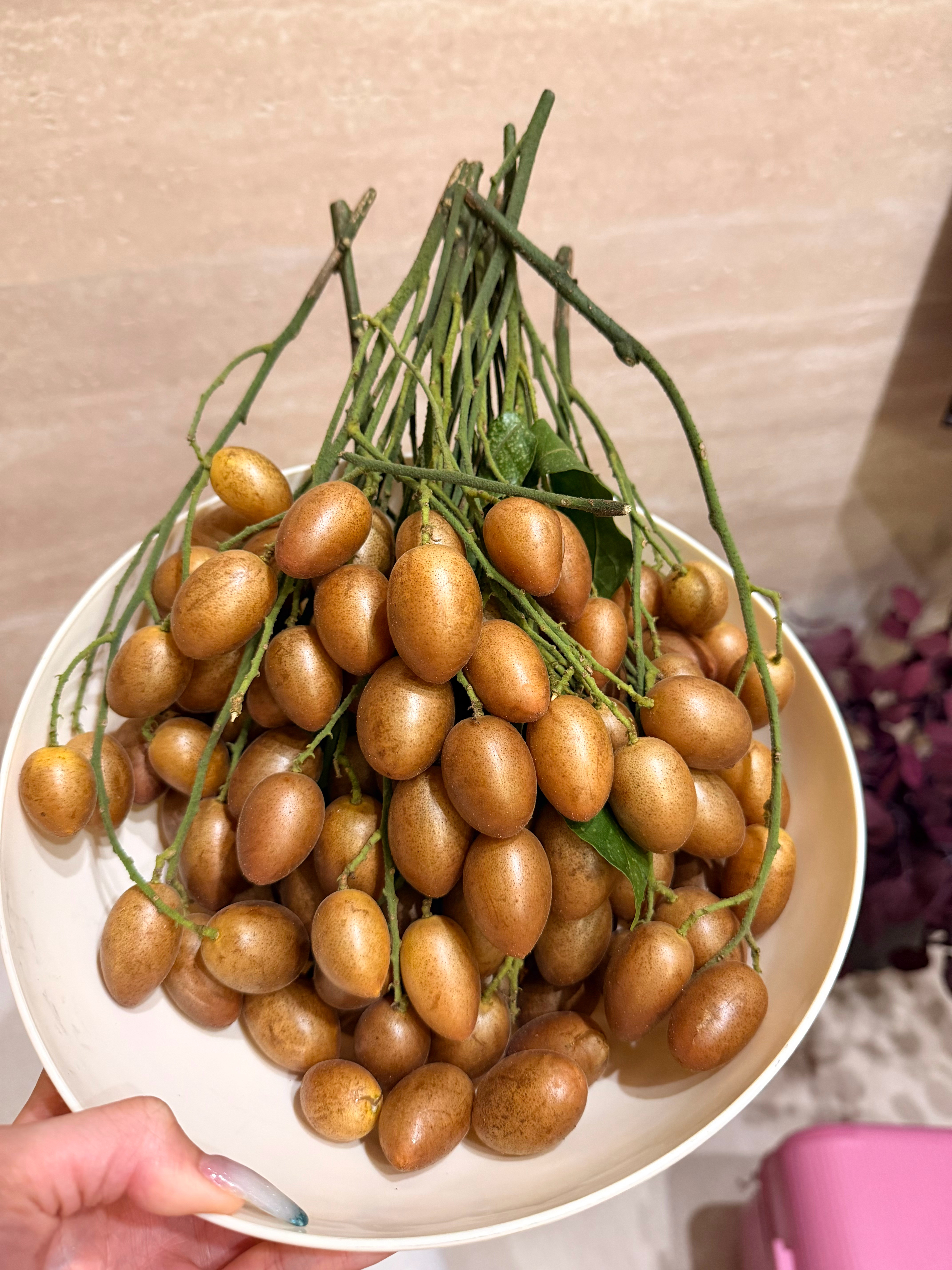 人真的会随着年龄的变化口味也会改变，黄皮我真的巨讨厌吃，接受不了这个味道，昨天顾
