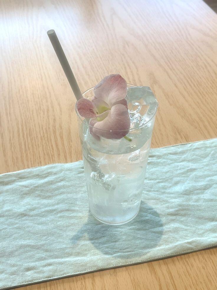 【背景图】分享˚₊✯͡🜚*·.绿色|清新|贝壳|饮品|精致|夏日|