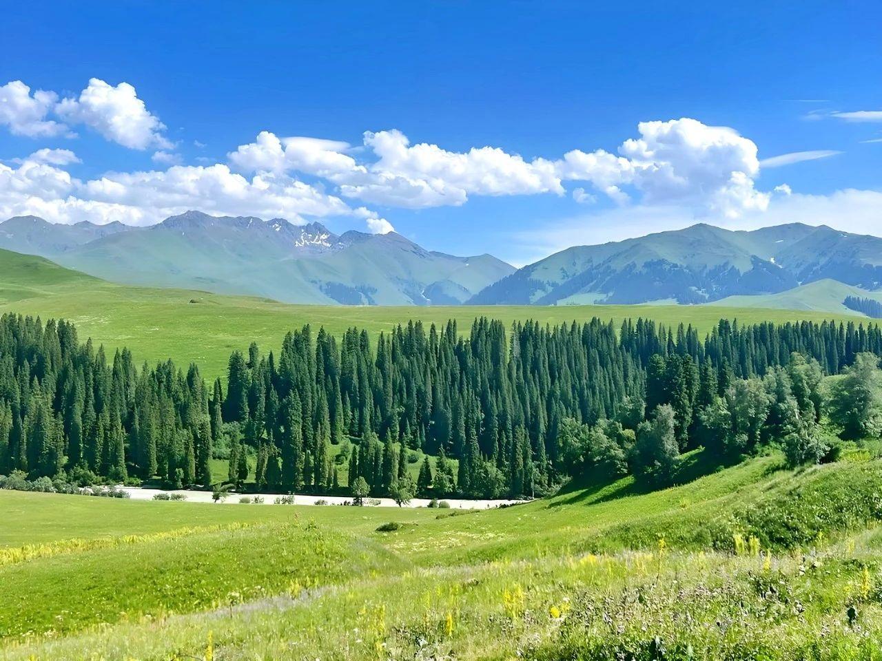 遇到一个学生家长，左问问，右问问，前问问，后问问，就是没有讲到事情的重点。你找我