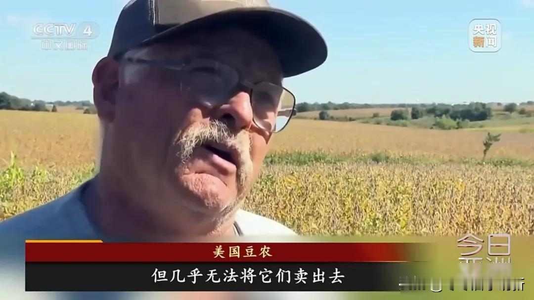 美国豆农卖不动了，巴西阿根廷却赚翻了，谁在悄悄改写全球粮价？2025年5月，
