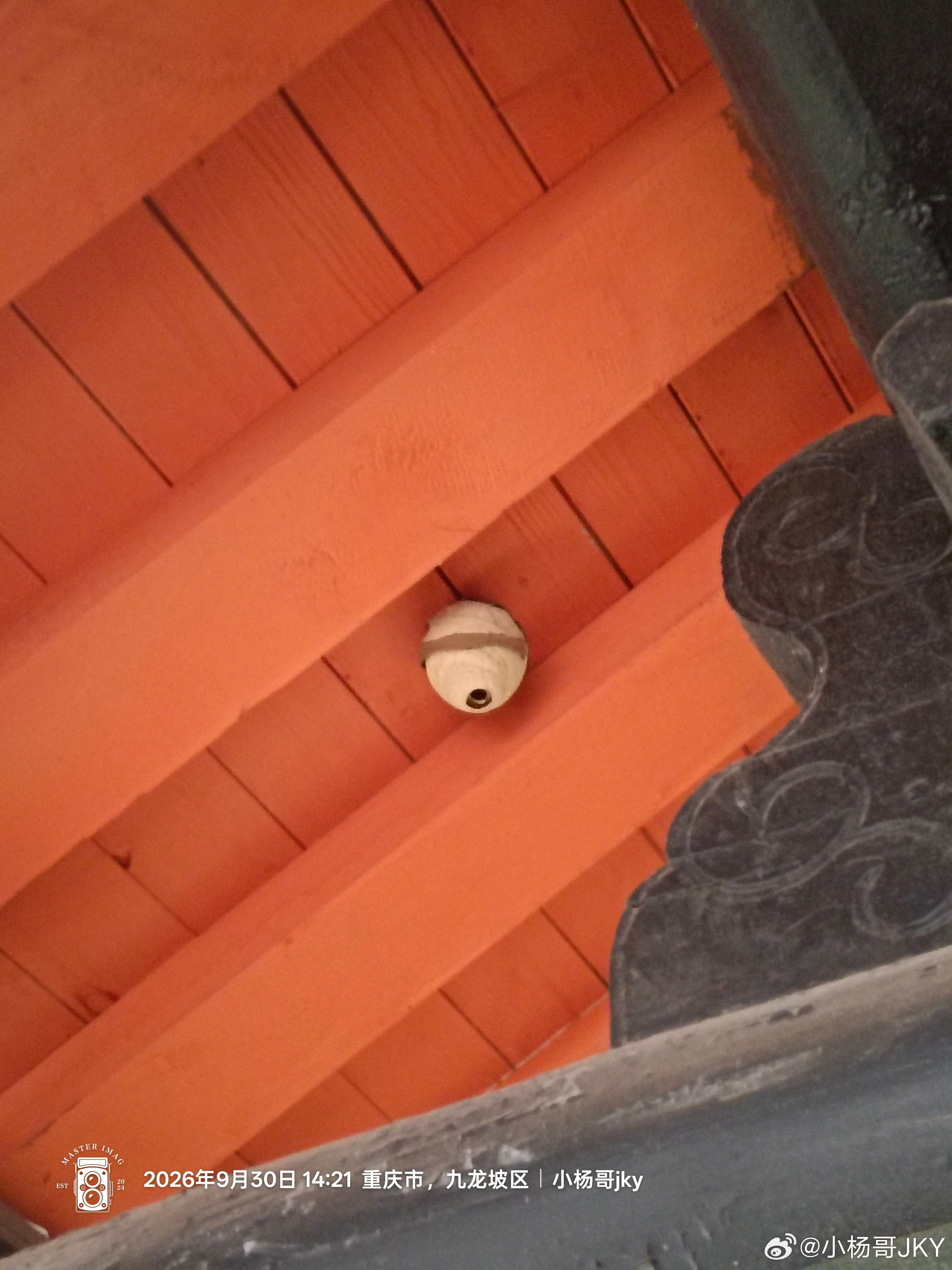 闪现华岩寺重庆文物华岩寺重庆华岩寺小杨哥随手拍跟着小杨哥去旅行重庆旅游