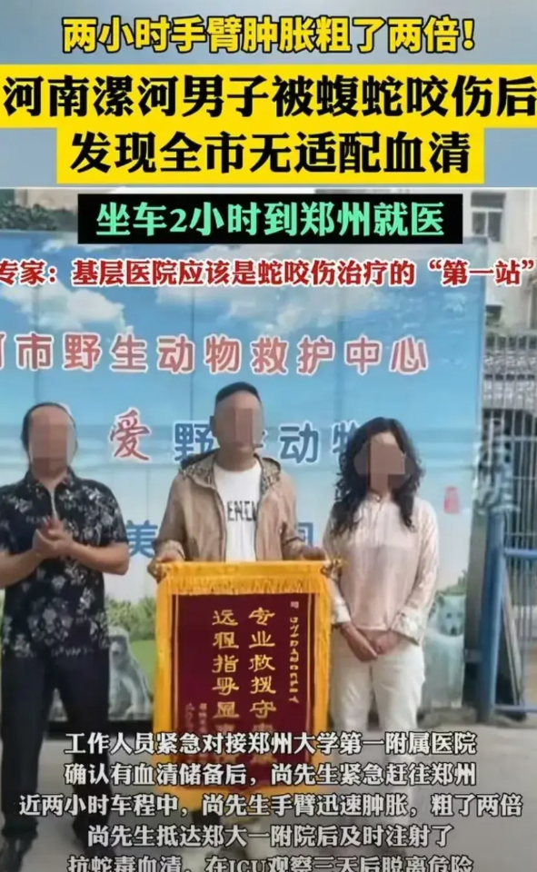 “蛇的天敌是什么？”河南漯河，一位大哥发现村里土坡上竟然有一只满身花纹的蝮蛇，他
