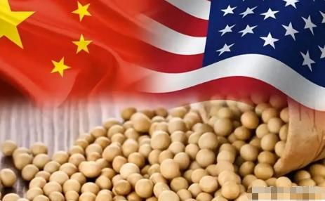 中美之间似乎传来微妙信号！短短一周，中方大手笔拿下约100万吨美国大豆。9月10