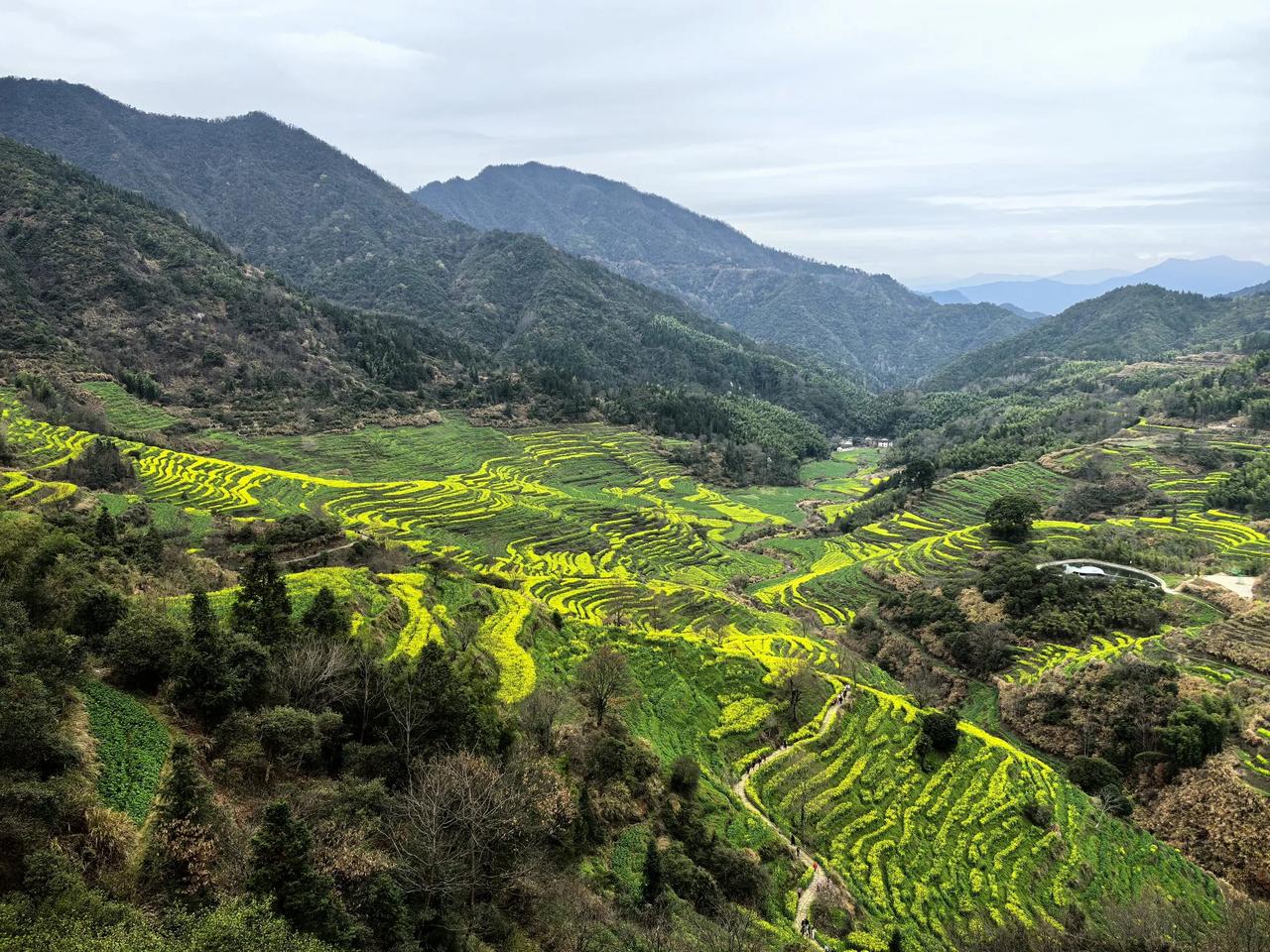 西安自驾江西游之六-婺源篁岭：中国最美乡村！还有小桥流水的李坑。早上9点从