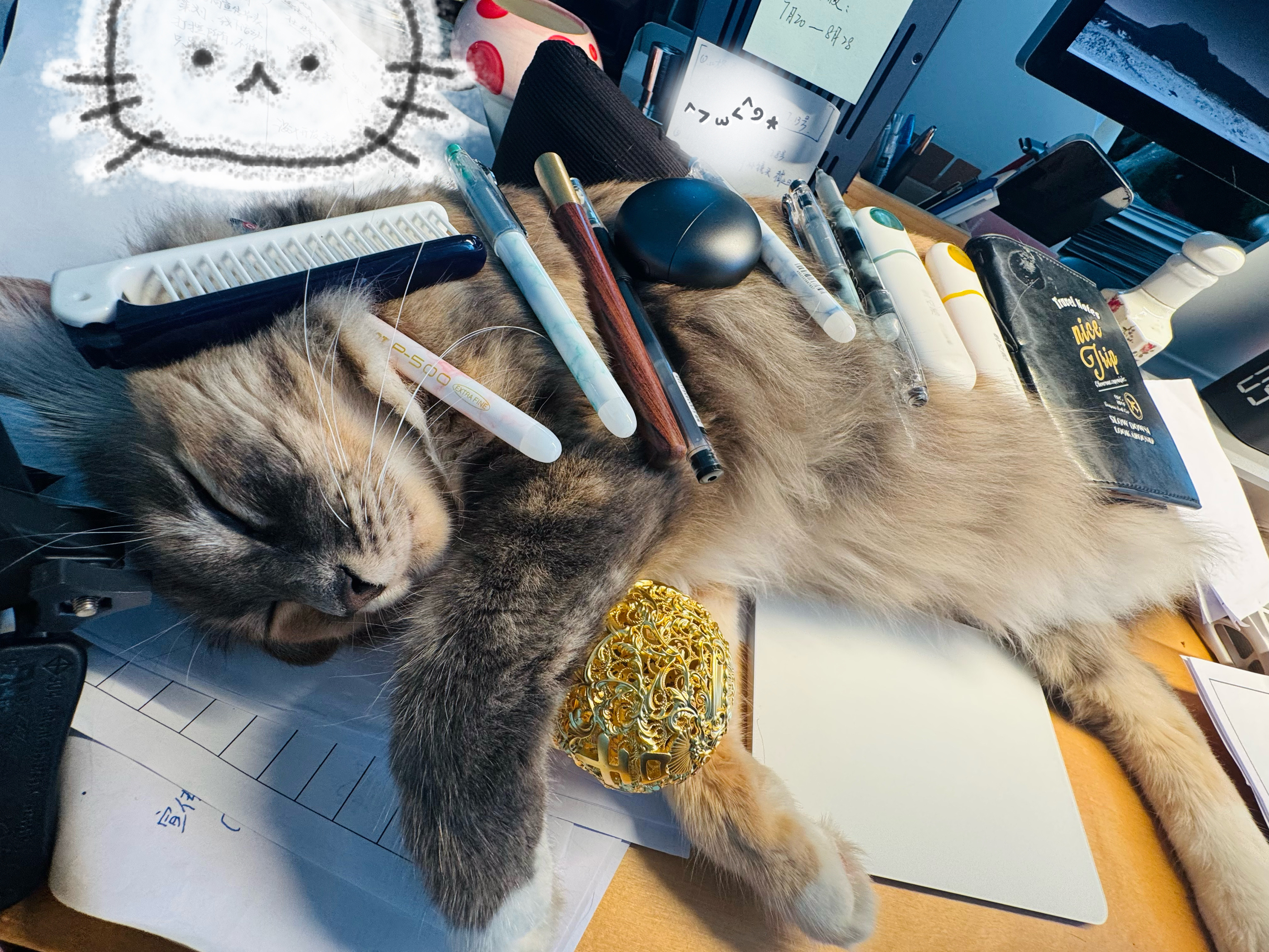 用了这么多兵器法宝，终于降服了这只大型猛兽🐅煎饼果仔暑假刷到宝了