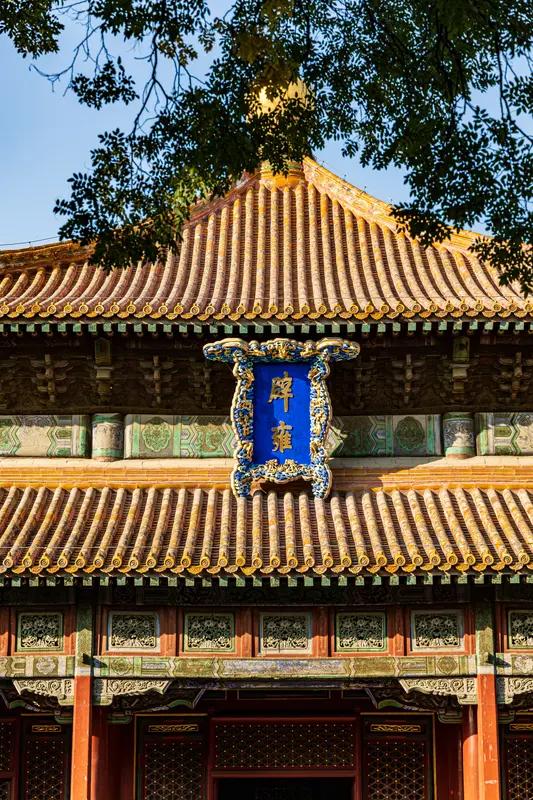 乾隆对雍正为啥有诸多不满？雍正执政时，对官员要求严格，对兄弟手段