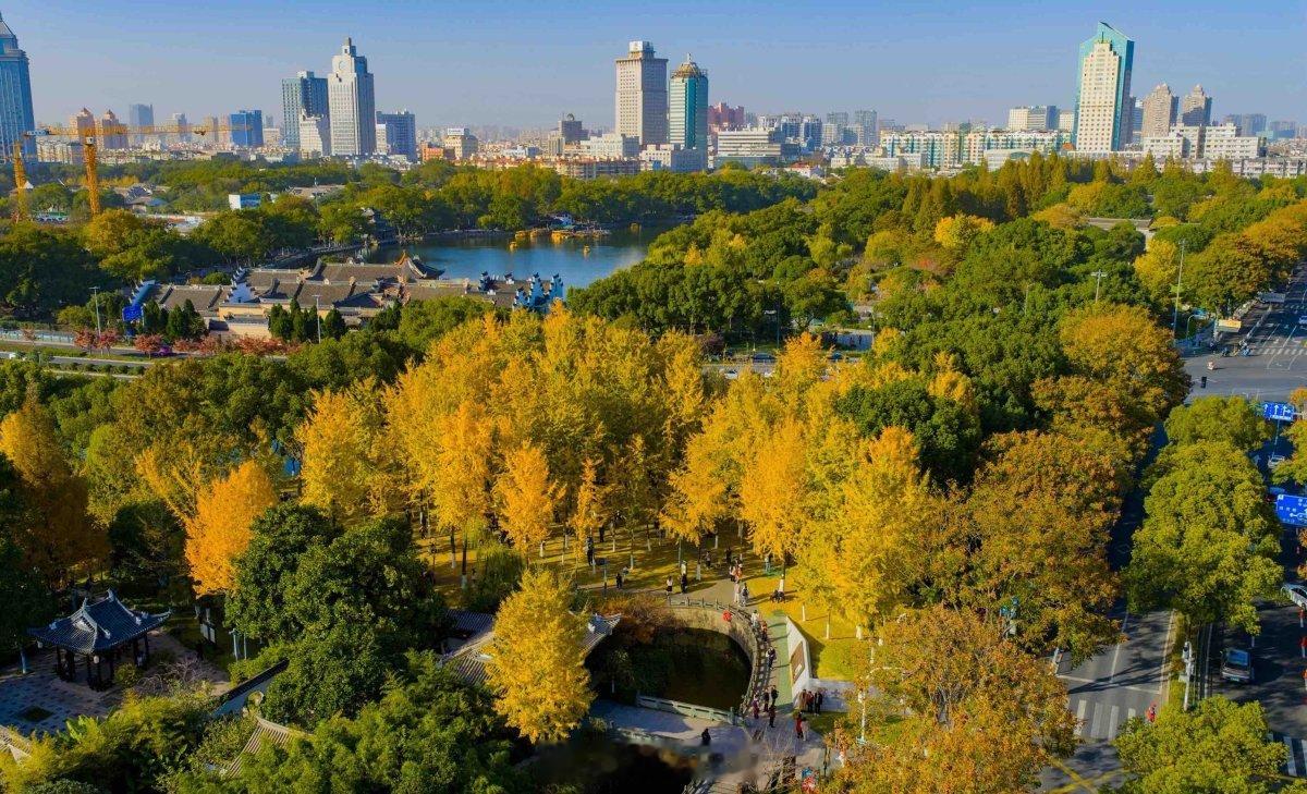 【1月至今宁波气温破纪录！上月降水有点少】今年的宁波，确实有点热！刚刚过去的1