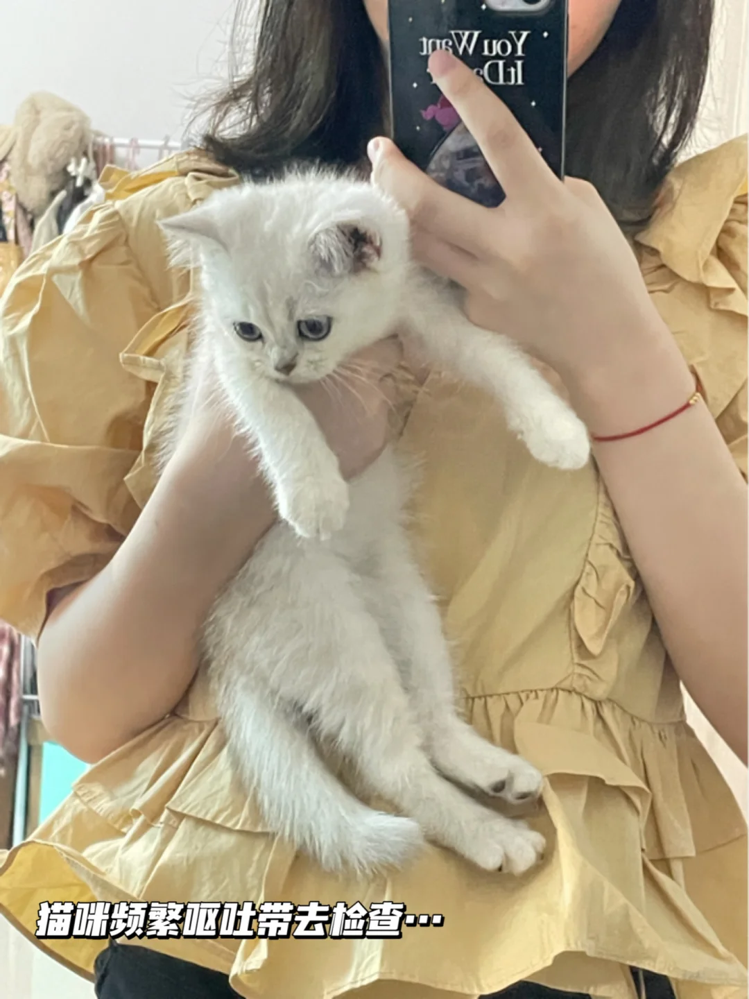 猫咪频繁吐粮带去检查了....