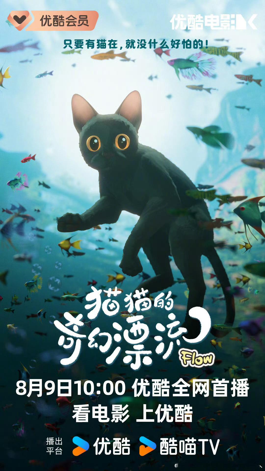 2.28上映的拉脱维亚动画电影猫猫的奇幻漂流定档8.9网播，豆瓣评分8.4。讲述