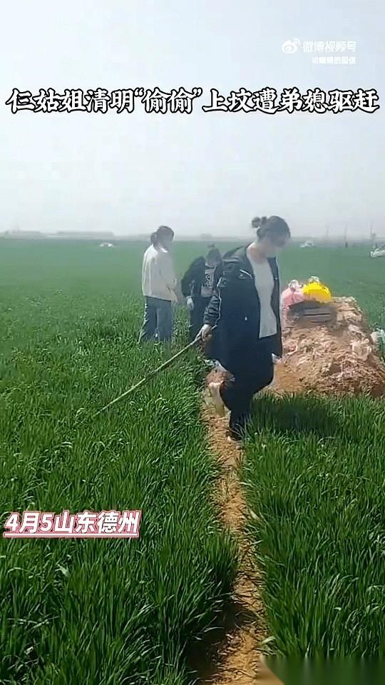 墓地里，手机闪光灯突然炸亮，像探照灯直射“三姑姐”背影！下一秒，她弟媳的声音刺破