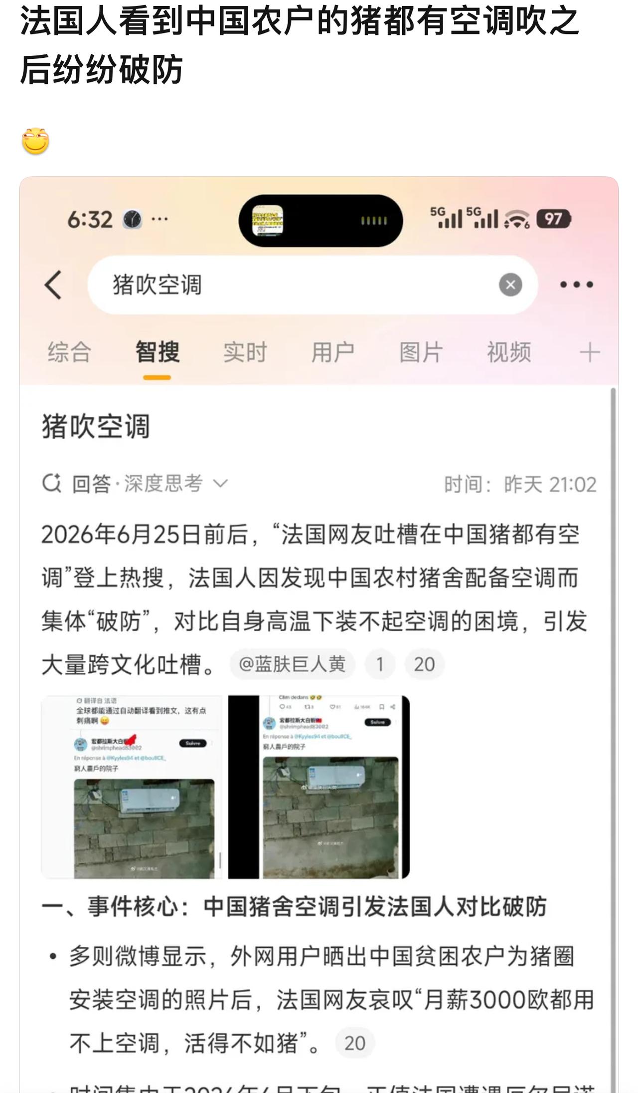 看到中国猪都享受空调了，活在高温烤架上的法国人民瞬间破防了。原因就是，人热了不一