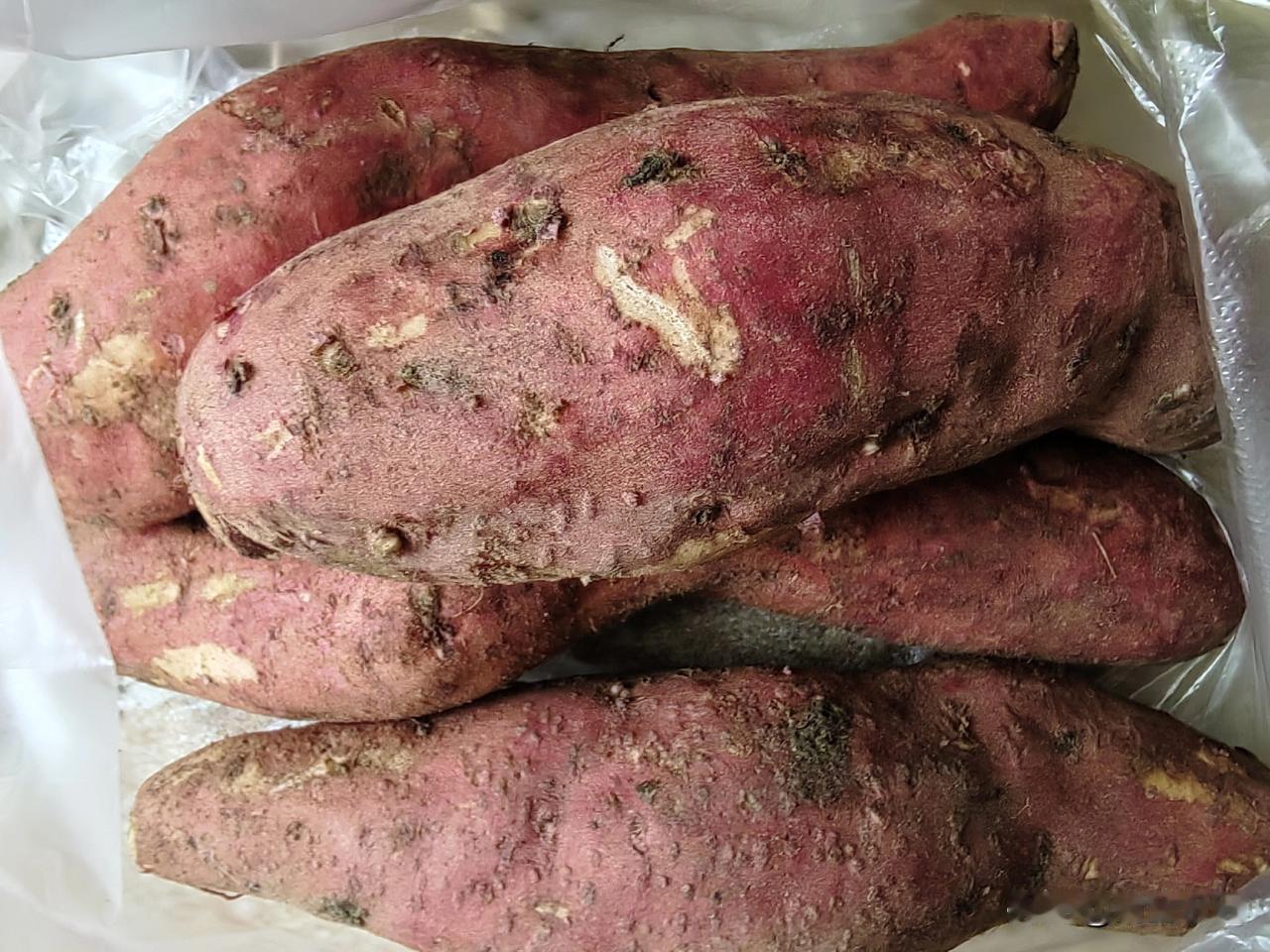 长寿密码我隔壁一楼住着一位90岁的老阿姨。一天我正在楼下和朋友聊天，老阿姨慢