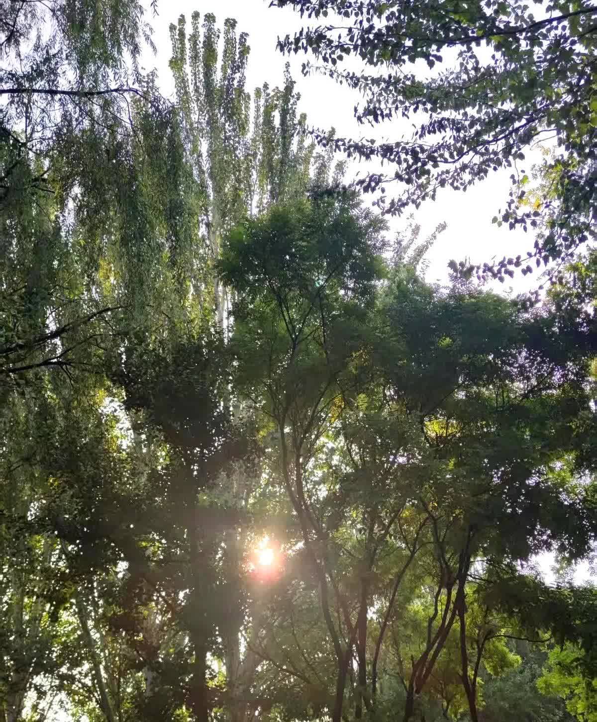 观察了身边许多人，我发现夫妻之间，如果是男人生病了，老婆一般都会不惜一切代价去救