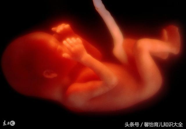 怀胎8月莫名死胎, 因饭前孕妇都要先“散步”, 结果出来全家哭了