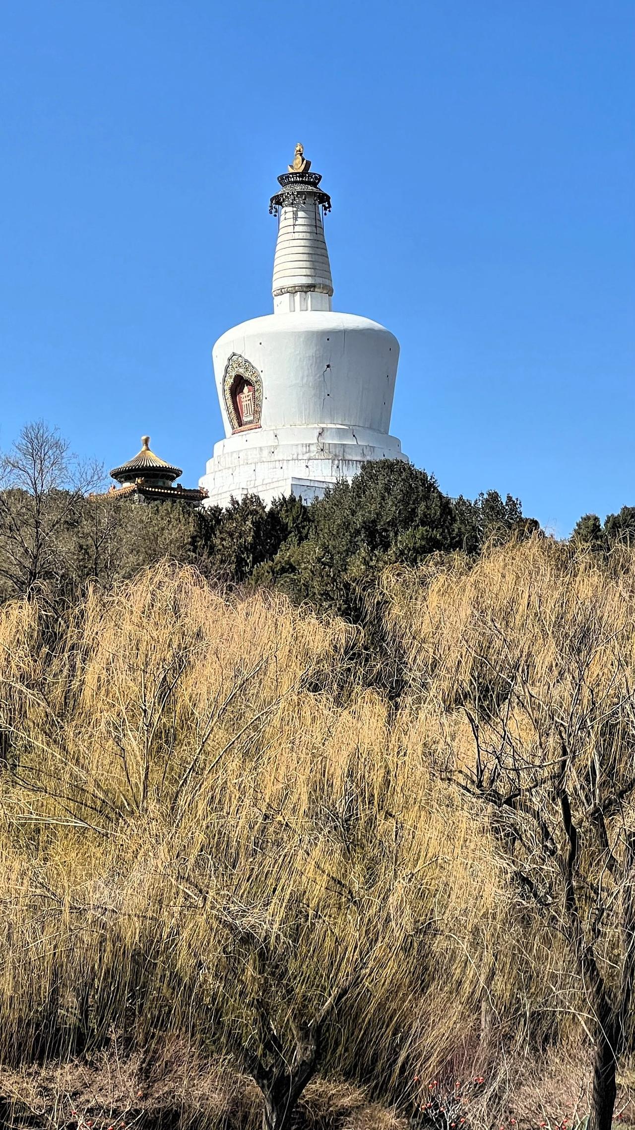 【原创】冬日北海公园风光掠影：白塔白塔寺白塔耸立，金顶熠熠生辉，宁静祥和。