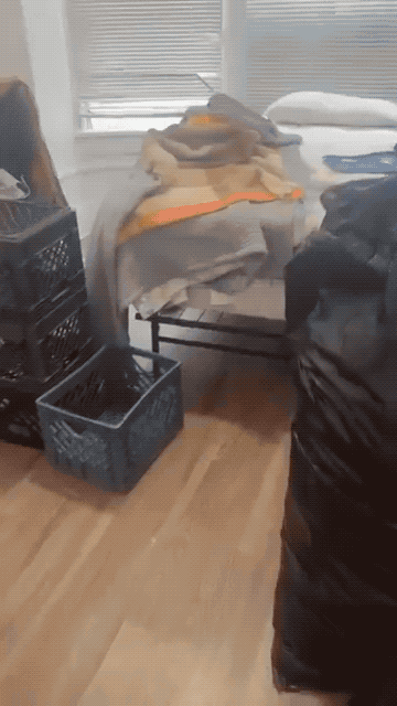 美国黑人实拍亲兄弟被斩杀：听说流浪的哥哥有了房子，过去探望却拍到他尸体！这是美国