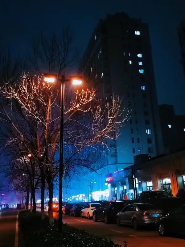 寒夜僧人欲跳江，官方通报：早已违反寺规被逐！真相让人五味杂陈寒夜江边，一名