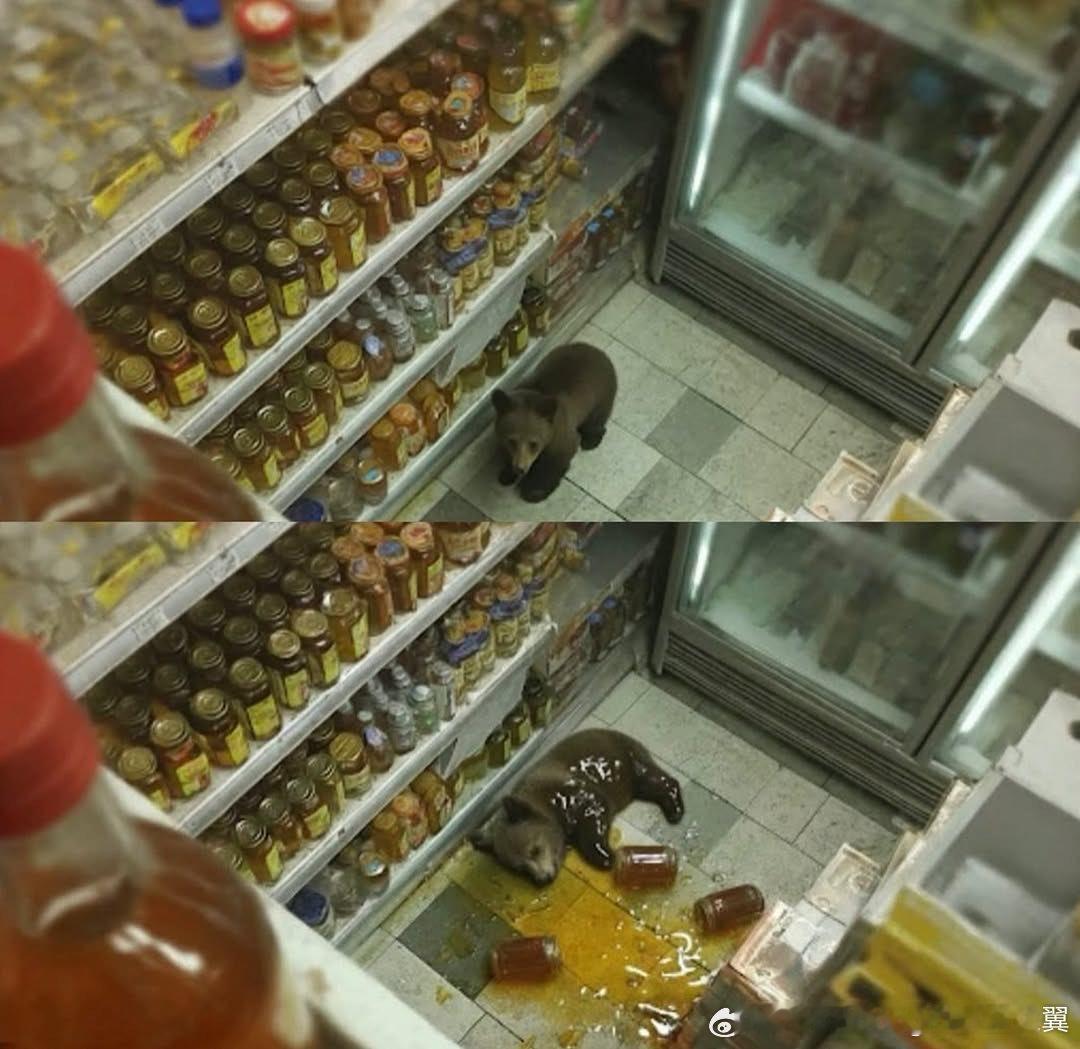 一只小熊偷偷溜进一家杂货店，吃了好多蜂蜜，直到睡过去为止。