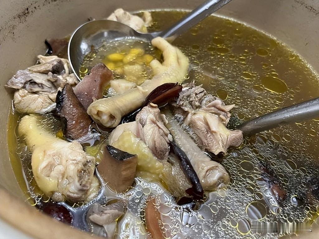 全网最"反骨"鸡煲爆火！老板越劝退，食客越疯狂，真相太好哭佛山顺德的莫氏鸡