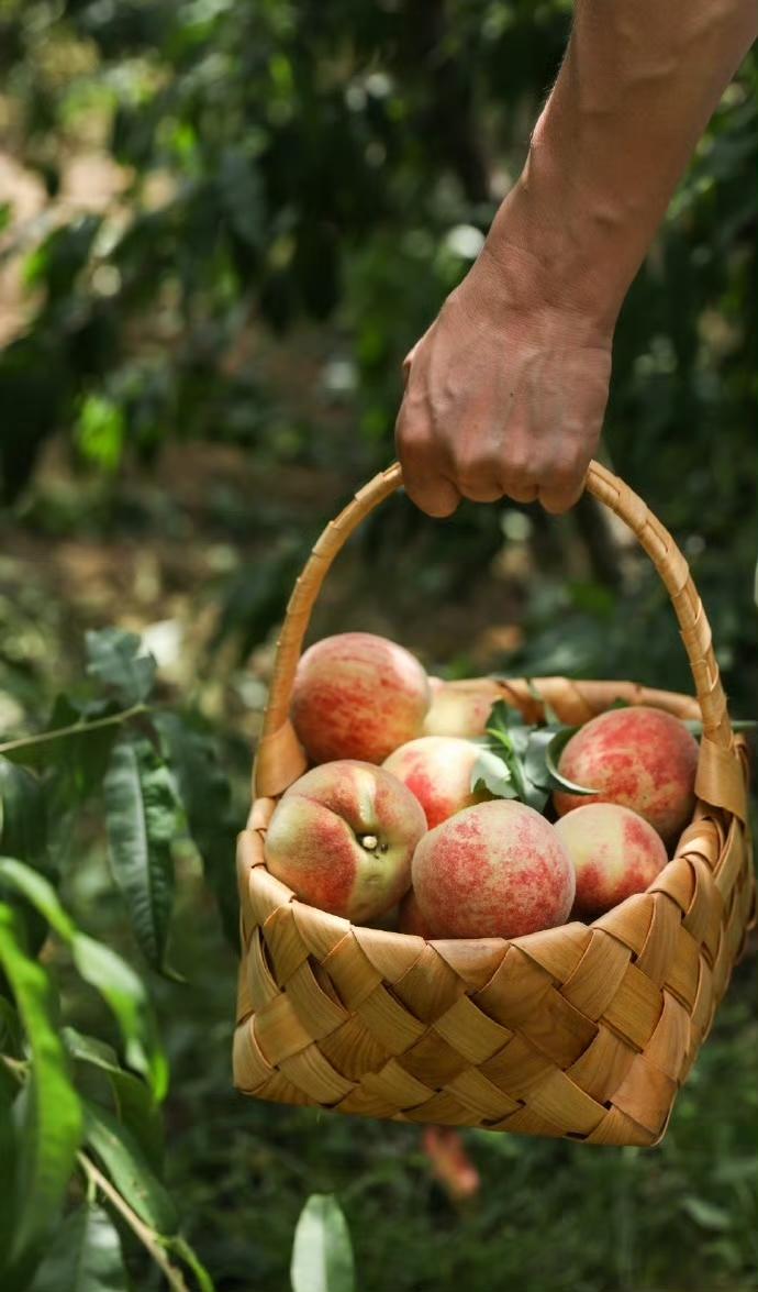 晒图笔记大赛这是你喜欢的乡村生活吗？