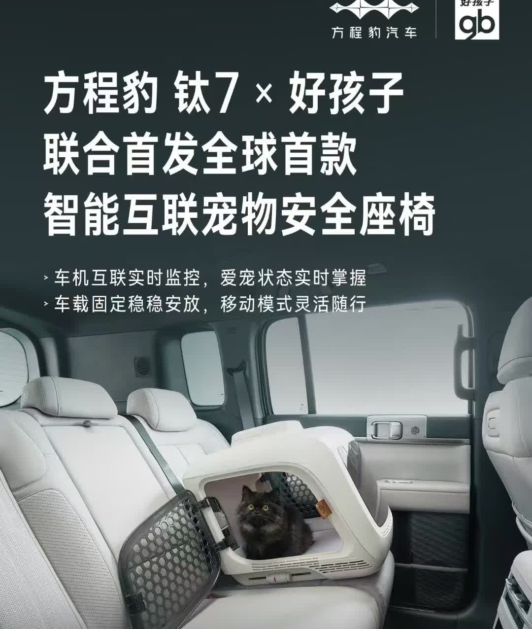 我滴个乖乖，喵星人都有安全椅了？方程豹钛7发布宠物安全座椅，支持车机互联实时监控