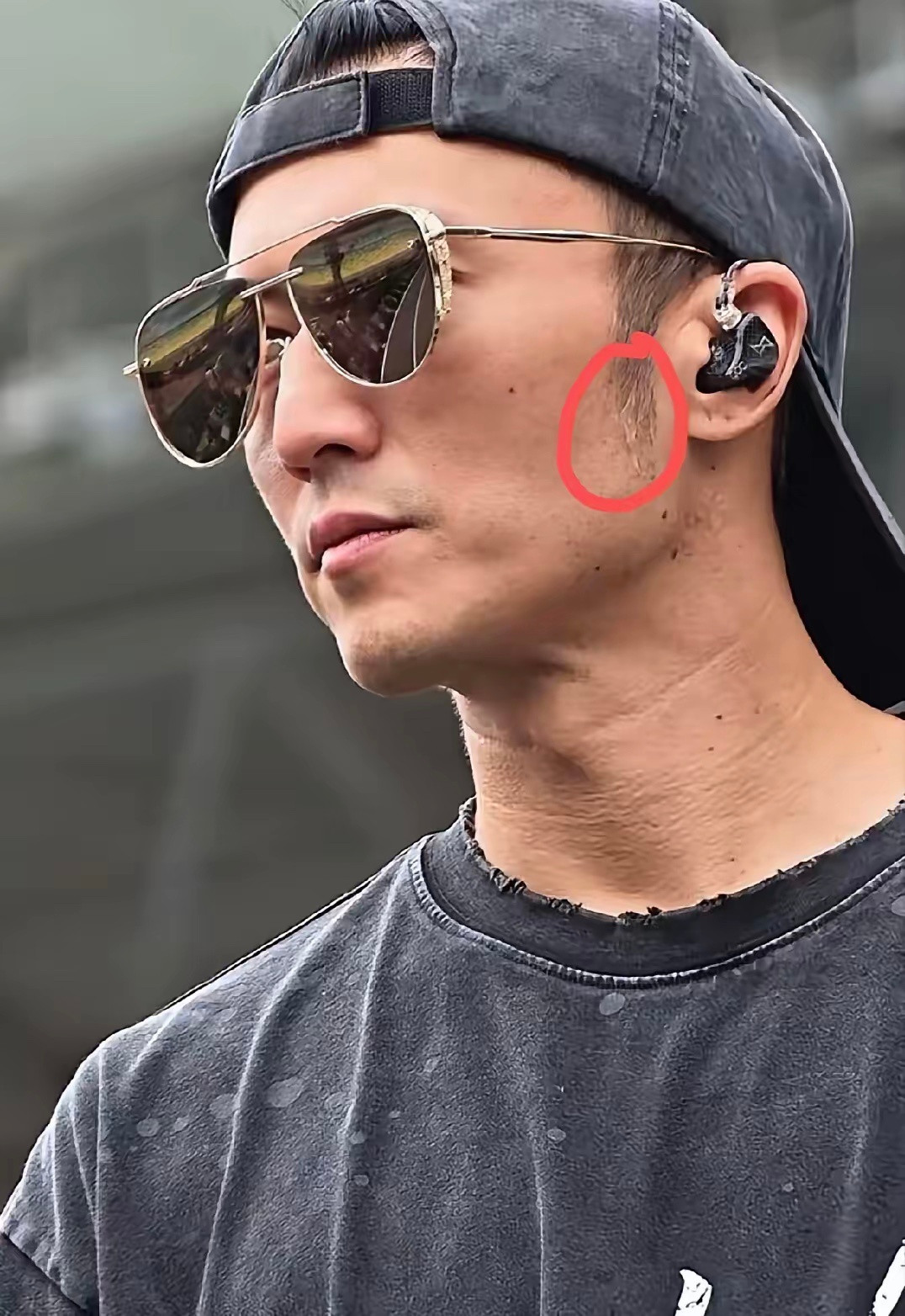 看到谢霆锋演唱会状态突然就明白了，人真的会因为大的创伤突然冒出白发，他的鬓角都