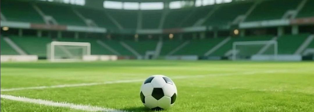 江苏：2026年苏超城市足球联赛各队主教练​南京队：张晓峰无锡队：唐京徐州