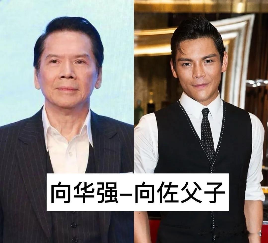 演艺圈父子双双走红！父亲是老牌戏骨，儿子实力出圈1. 向华强&向佐​2