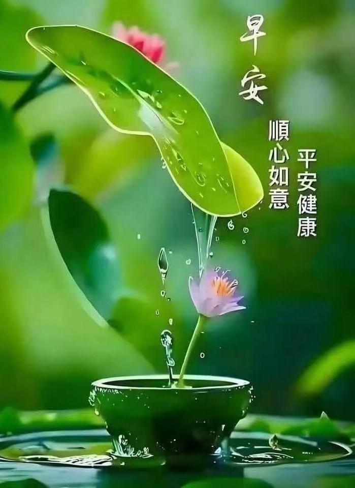 日出東方一片金，美好一天又來臨，不求索取有多少，只求健康又開心，問候祝福