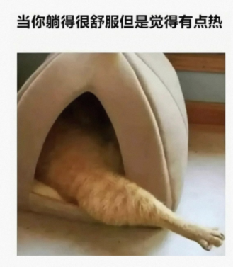 当代的现状