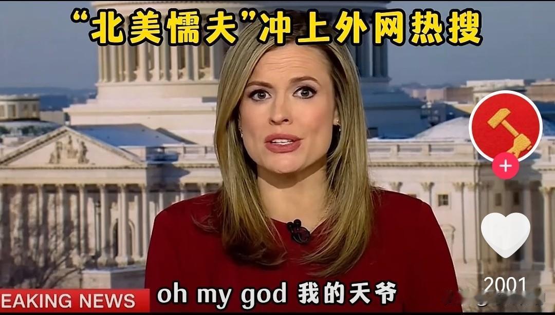 “北美懦夫”是今年初互联网走红的网络热词，是为了讽刺美国社会的荒诞反差。民间拥枪