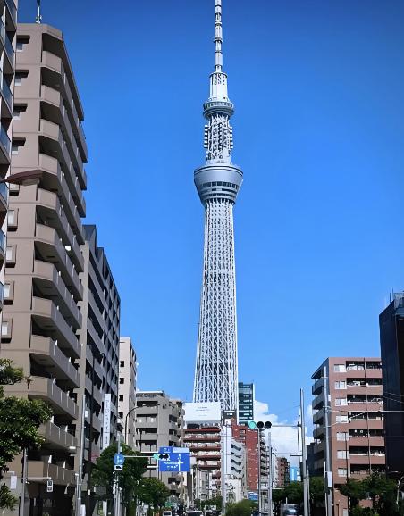 有个生活在日本的朋友跟我说，其实日本国内的经济并没有什么影响，中国游客少了，但其
