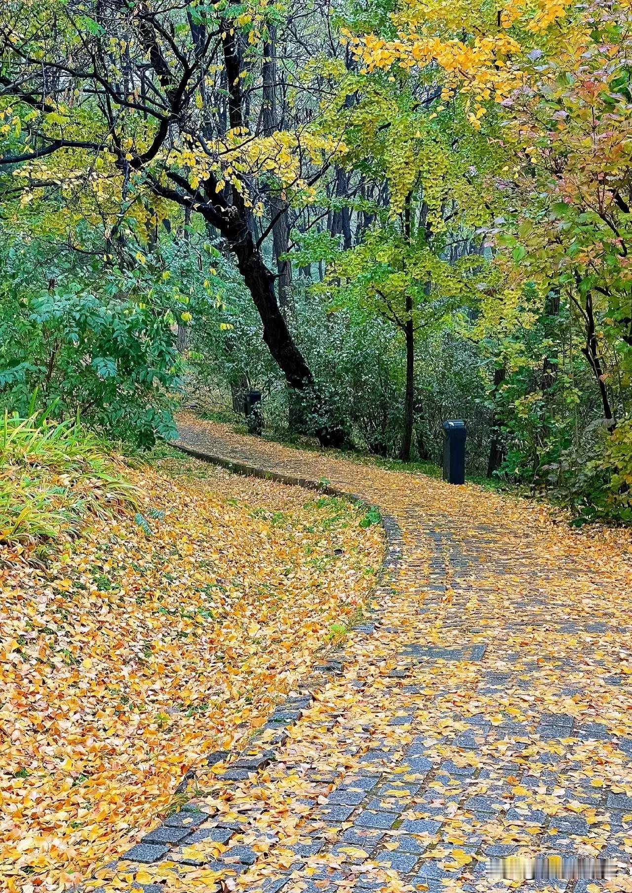 在繁忙的都市生活中，许多人都在奔波中迷失了自己。有人拼命工作，却忽略了身体的信号