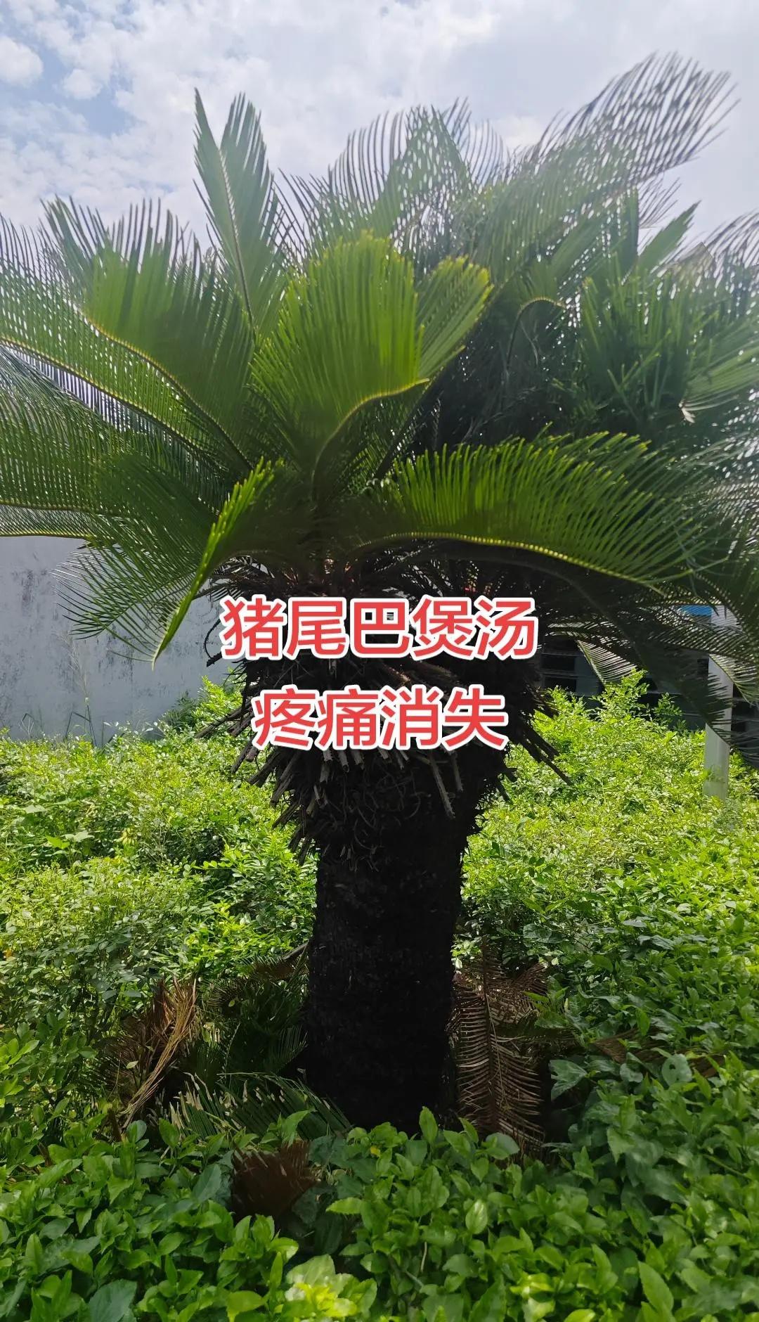 会当凌绝顶一览众山小！世锦赛燃爆！丁俊晖10:5吉尔伯特，拿到16强门票，下轮对