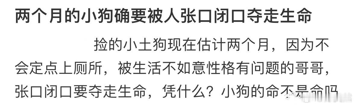 两个月的小狗被人张口闭口夺走生命