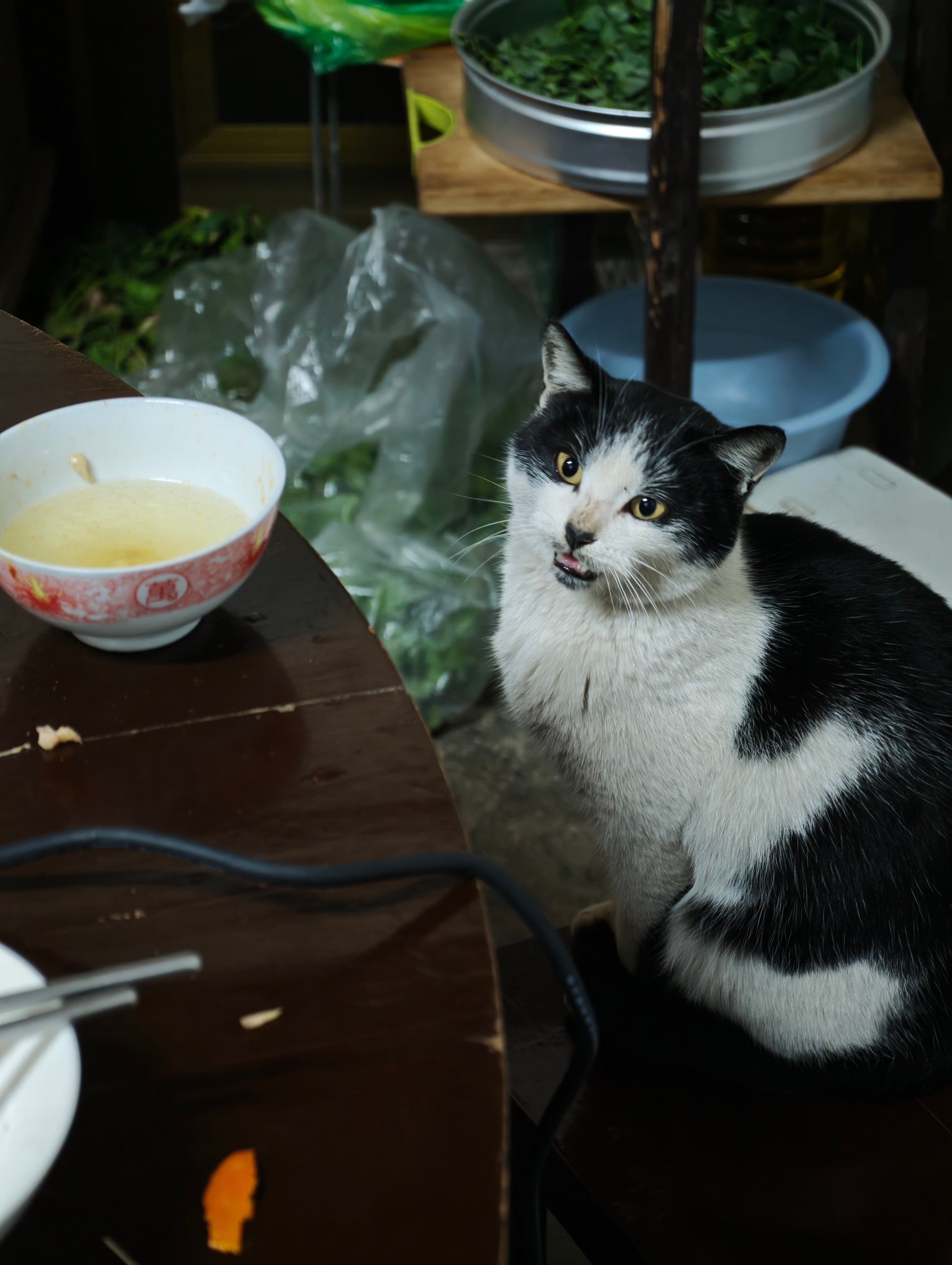 今晚在家烤肉，小猫表示也想上桌