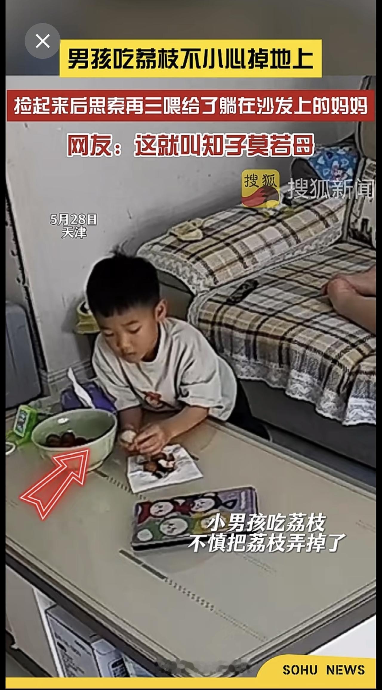 5月28日，天津。男孩吃荔枝不小心掉地上，捡起来后思索再三喂给了躺在沙发上的妈妈