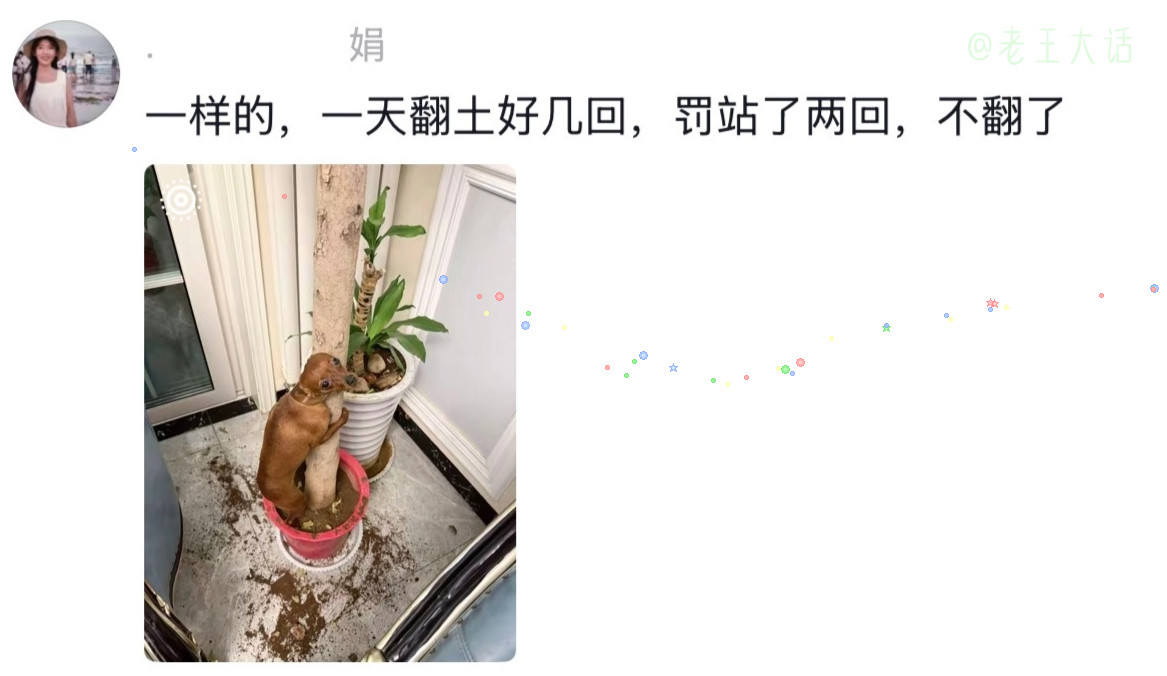 养宠后什么奇葩场面都见过，这脱敏治疗也太硬核了。